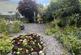 New garden 3.JPG