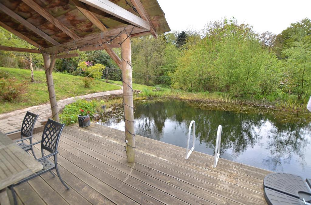 Natural Swim pool &amp; decking poll area