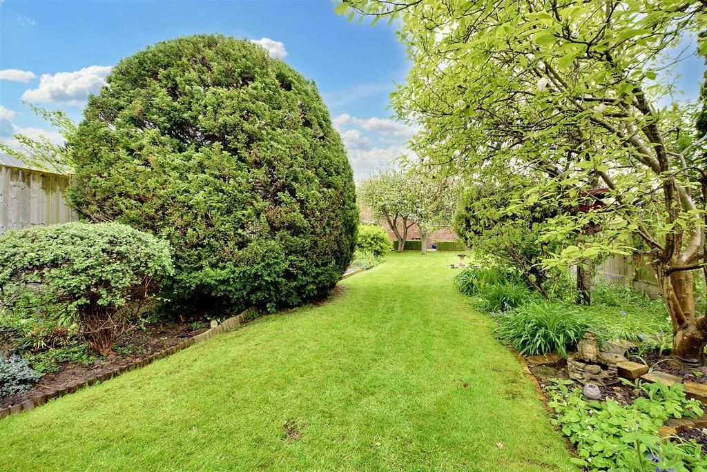 Garden 3.jpeg