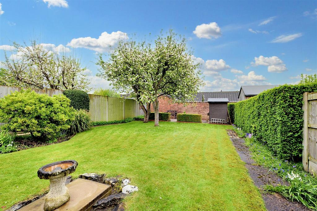 Garden 5.jpeg