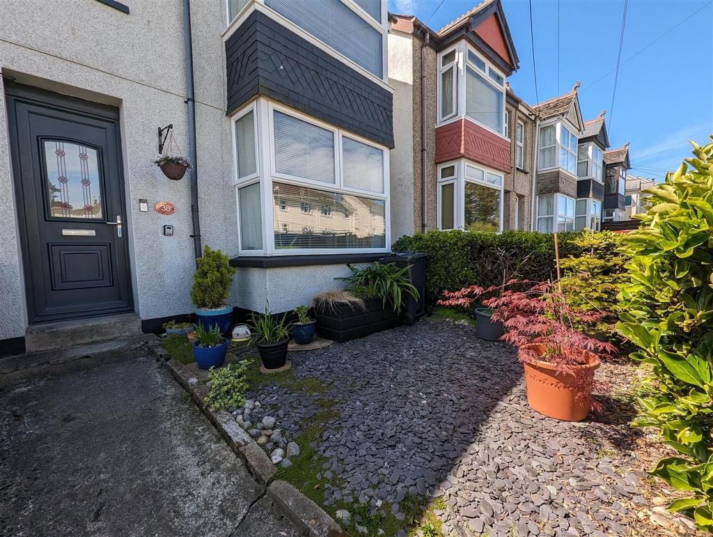Front garden (Potential Parking)