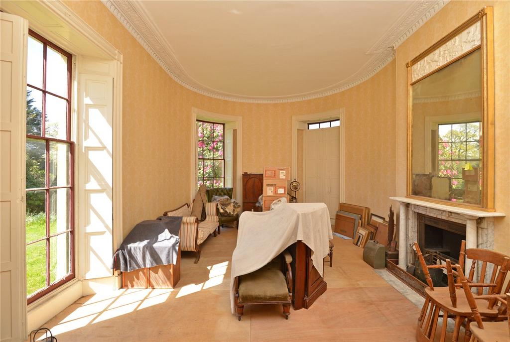 Picture 8