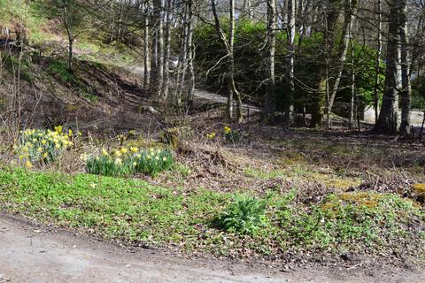 undefined, Plot of Land, Bridge Of Cally, Blairgowrie, PH10
