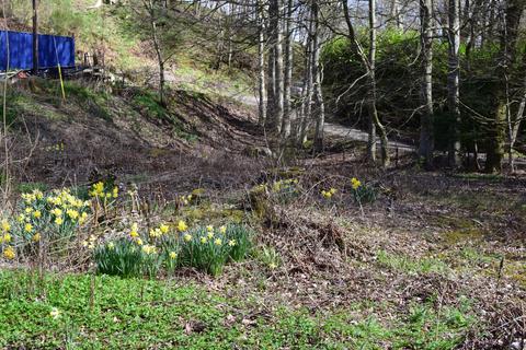 undefined, Plot of Land, Bridge Of Cally, Blairgowrie, PH10