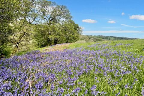 Woodland for sale, Craswall, Hay-on-Wye, Herefordshire HR2
