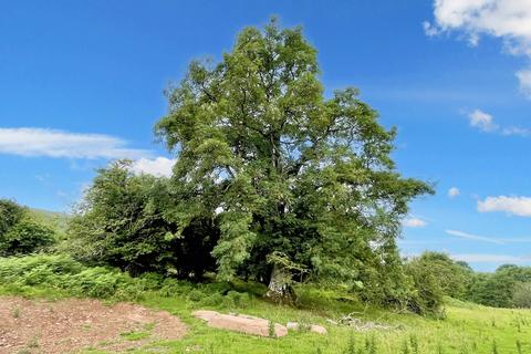 Woodland for sale, Craswall, Hay-on-Wye, Herefordshire HR2