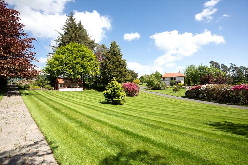 Grounds