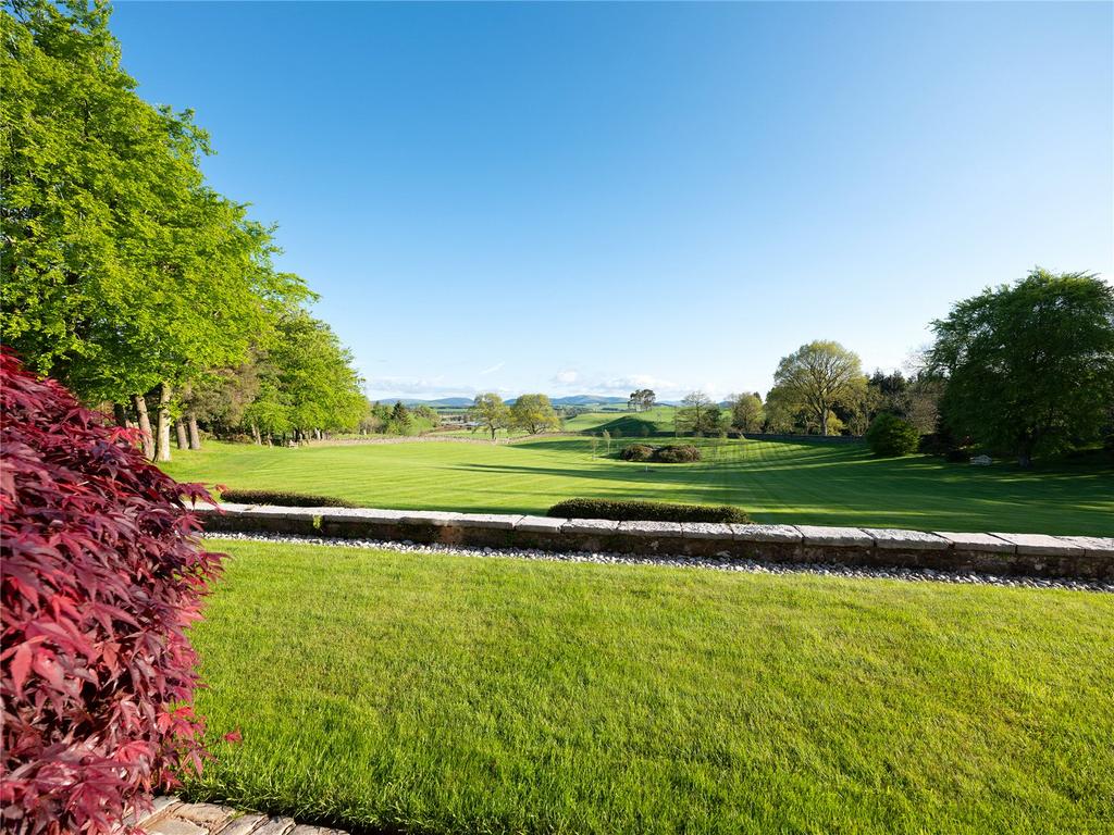 Terrace View
