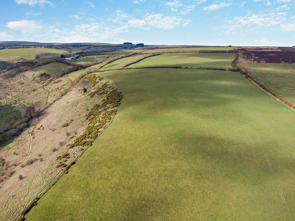 Farmland