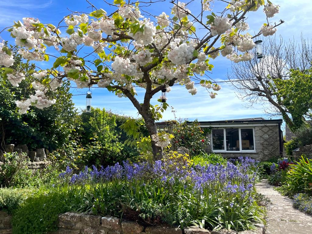 Upper rear garden