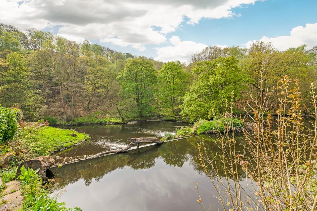 River don