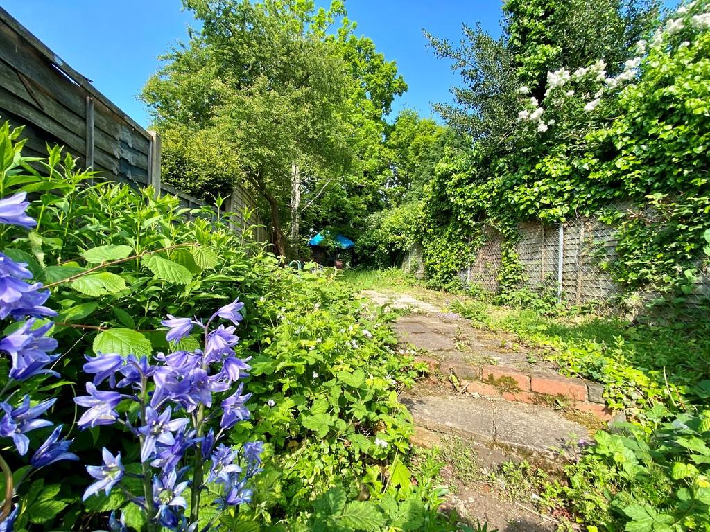 Rear garden 1
