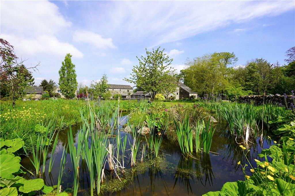 Pond