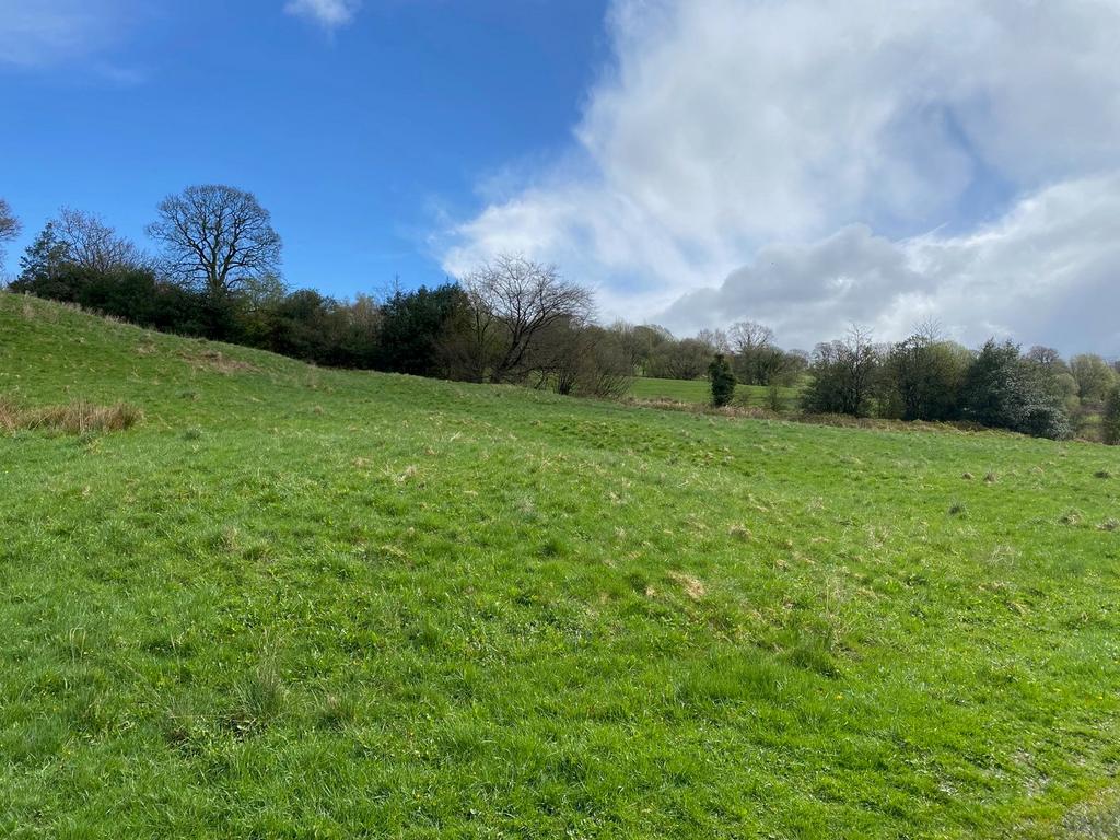 Red Lane, Colne, Barrowford, BB8 Farm land for sale £45,000