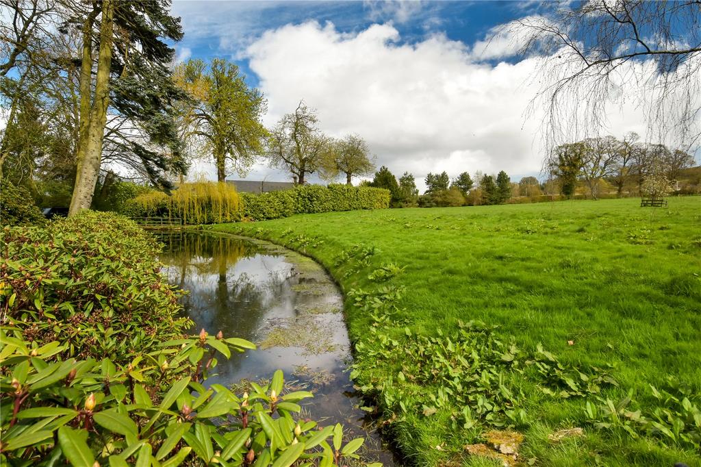 Pond &amp; Field