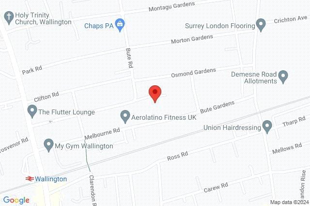 Google Maps Image