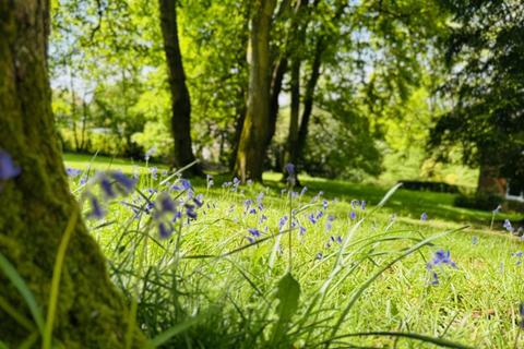 Whistles Buddle Hill, North Gorley, Fordingbridge, SP6 2PF