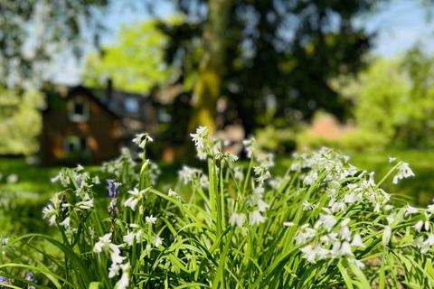 Whistles Buddle Hill, North Gorley, Fordingbridge, SP6 2PF
