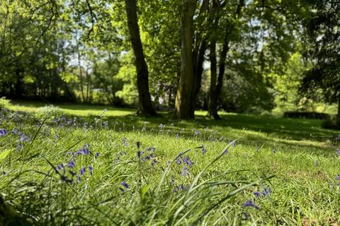 Whistles Buddle Hill, North Gorley, Fordingbridge, SP6 2PF