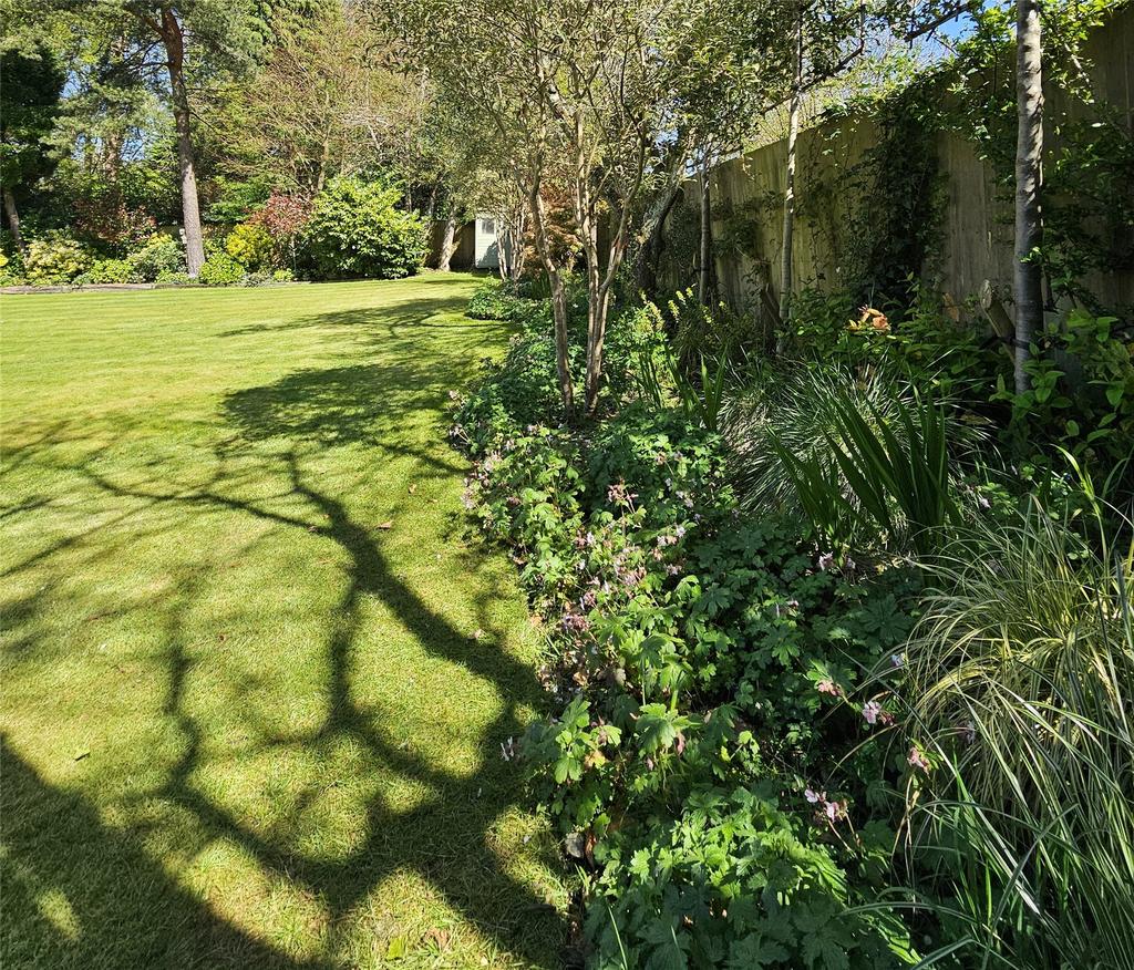 Picture No. 24
