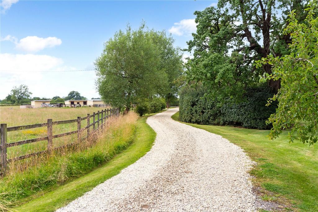 Driveway