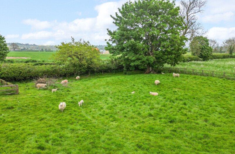 Paddock