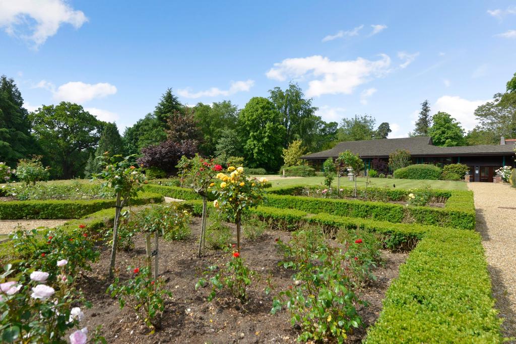 Picture No. 57