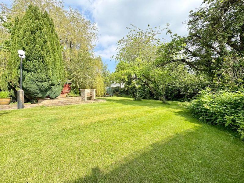 Rear garden view 3