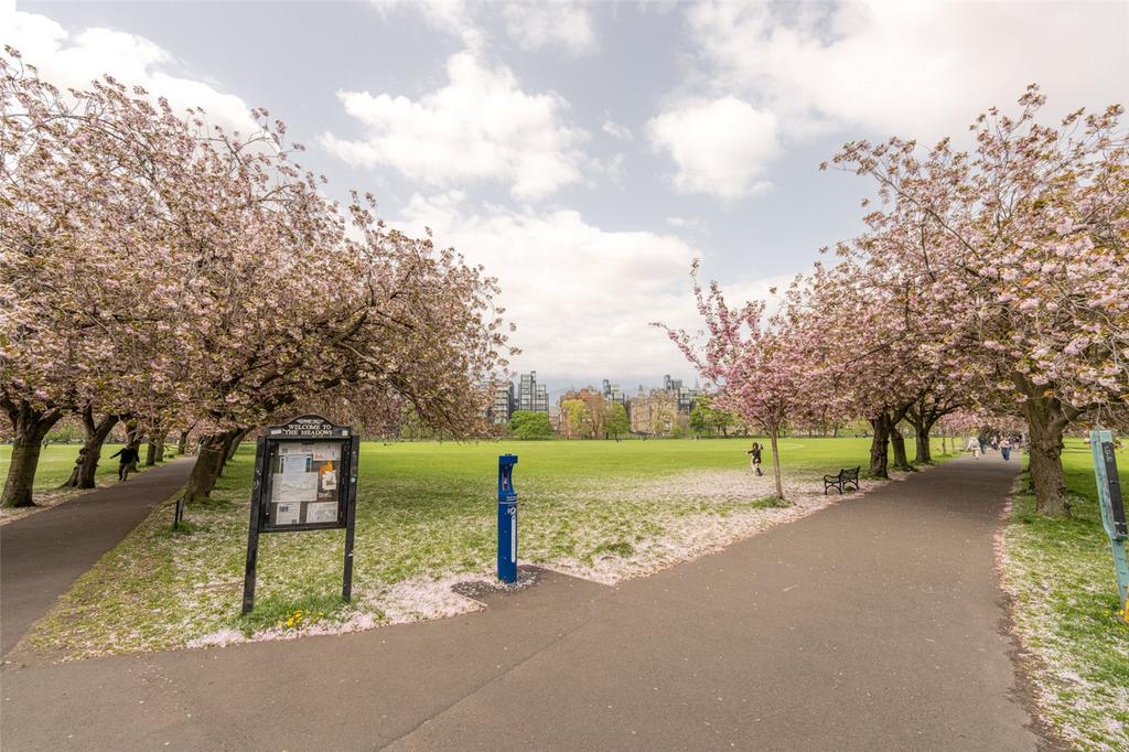 The Meadows