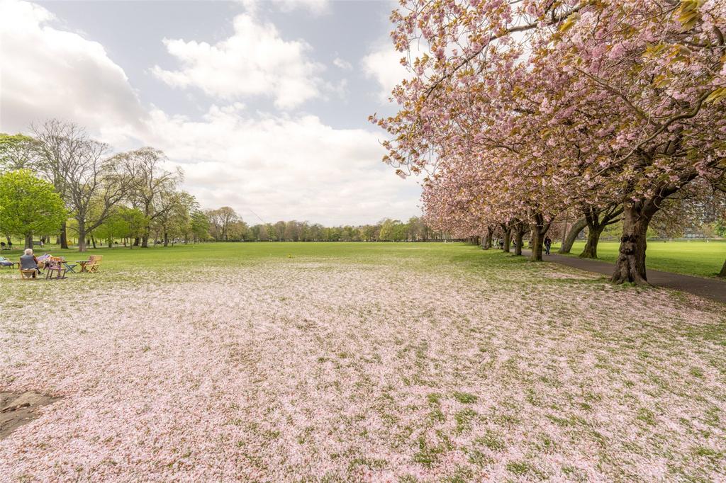 The Meadows