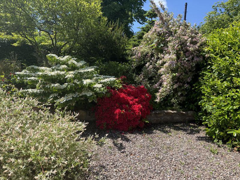 Photo 26