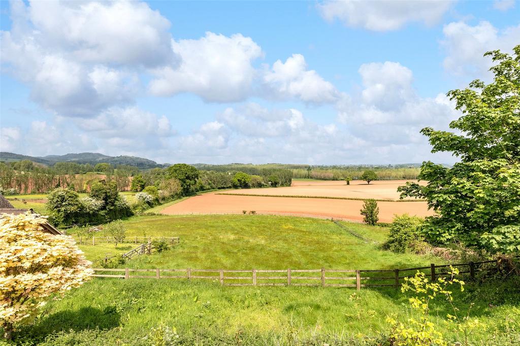 Country Views