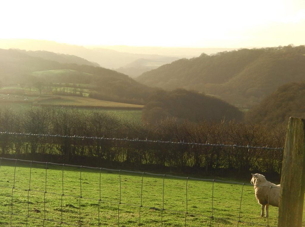 The Land &amp; Views