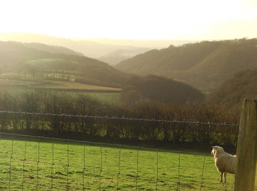 The Land & Views