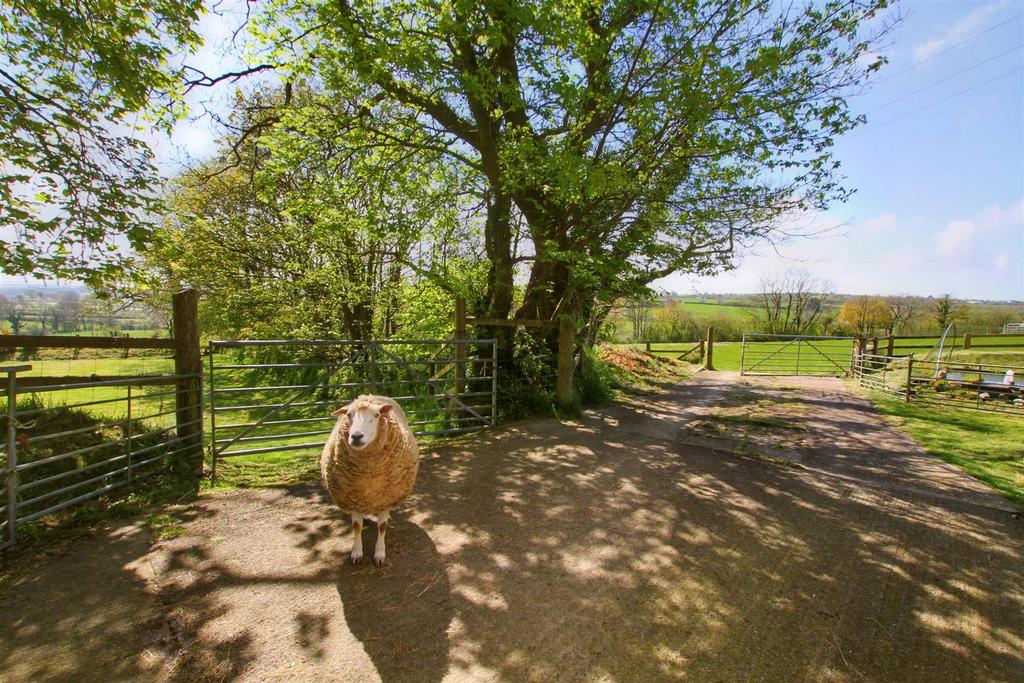 Rear yard leading to more paddocks