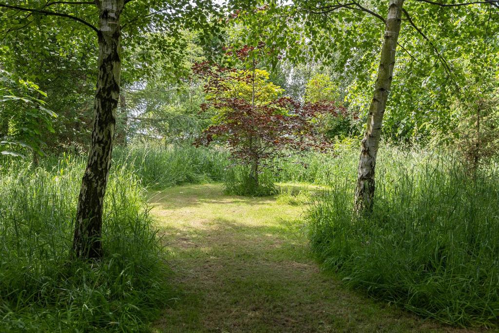 Woodland