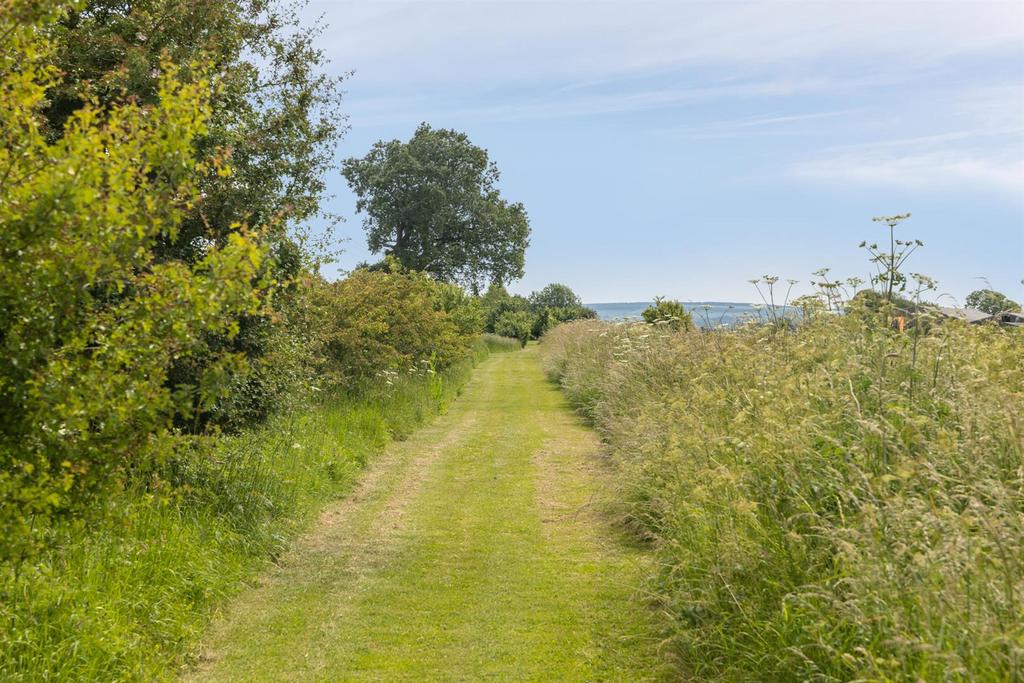 Grassy Walk