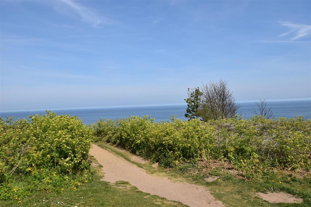 Dsc 0328.jpg