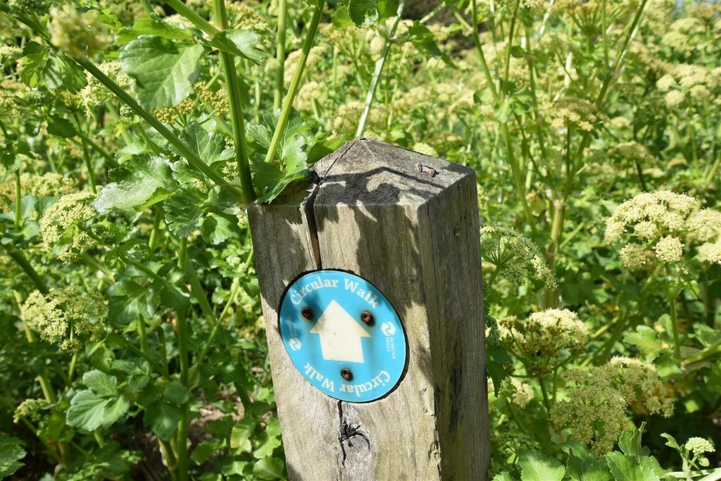 Dsc 0337.jpg