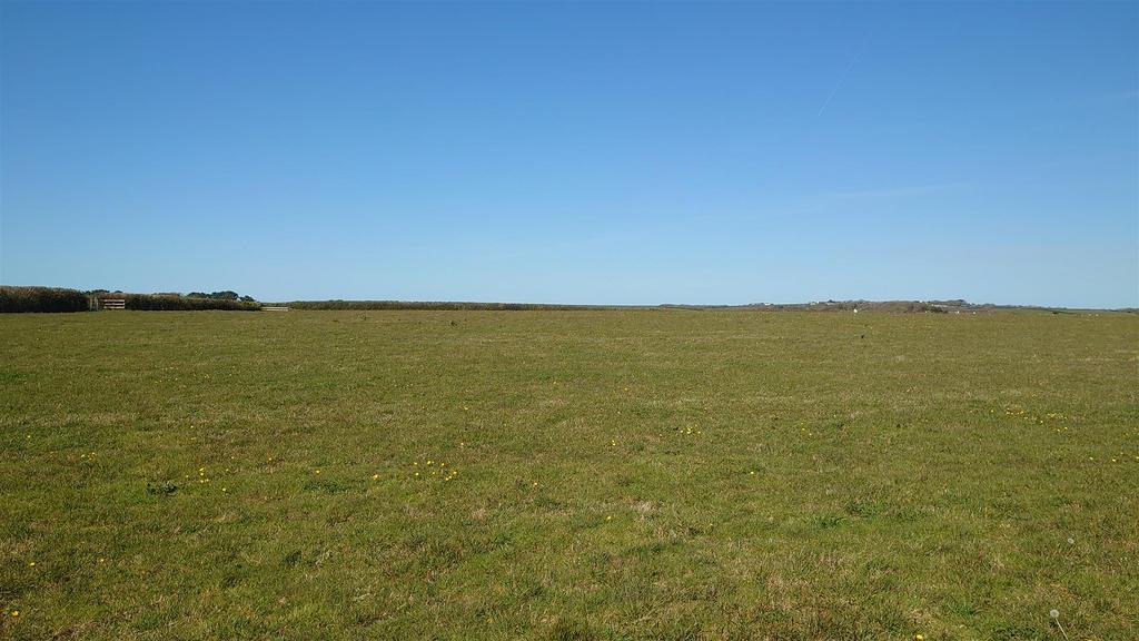 Dsc 1726.jpg