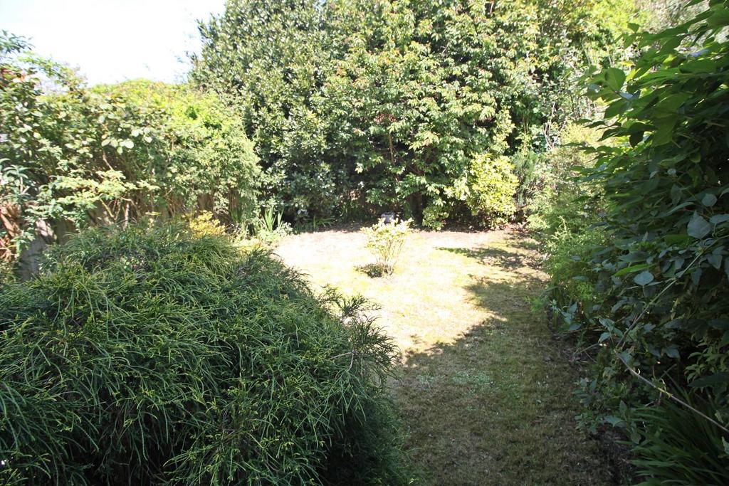 Garden 2.JPG