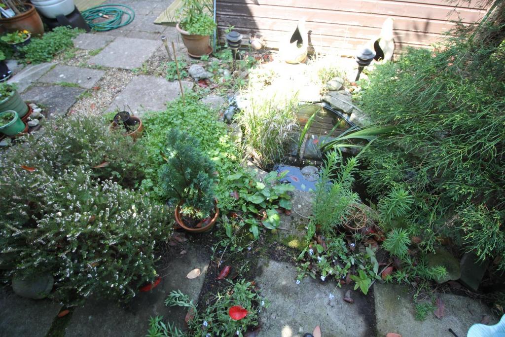 Garden 3.JPG