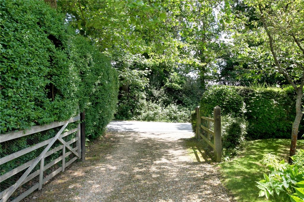 Driveway