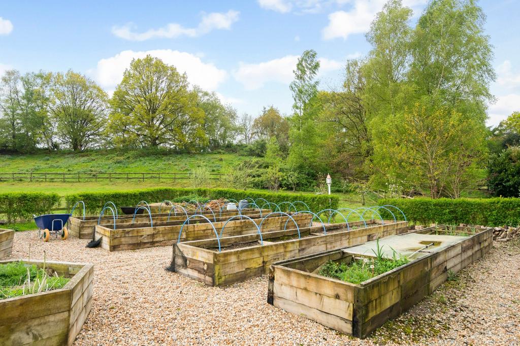 Vegtable Garden