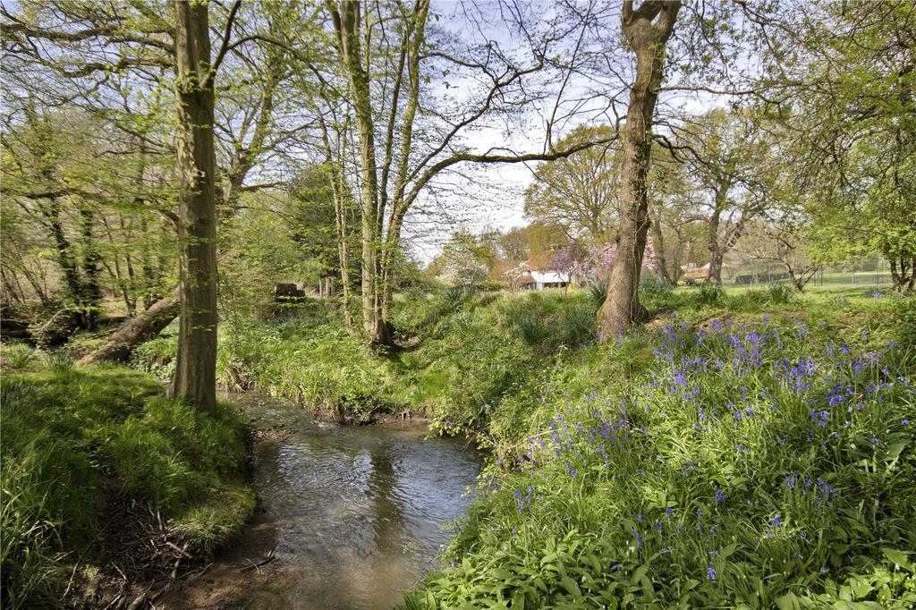 Stream