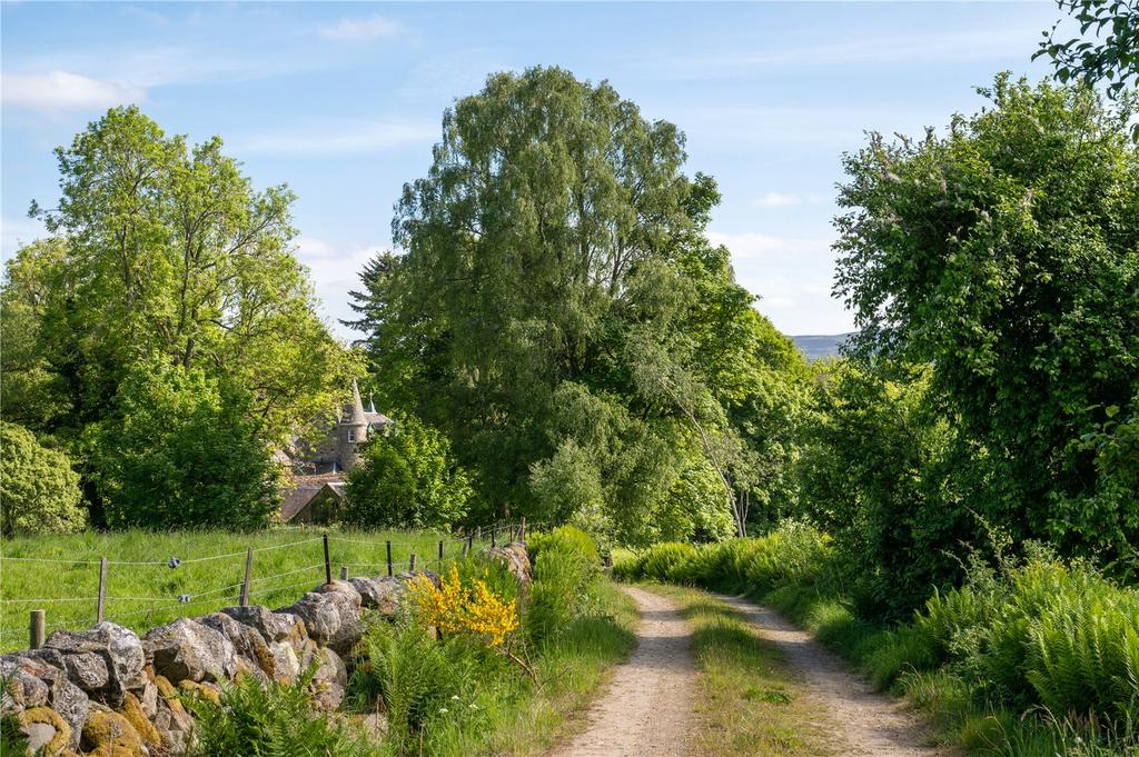 Track To Dalnagairn