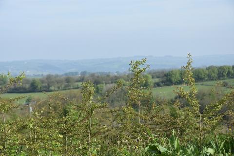 Land for sale, Land at Penclawdd Uchaf