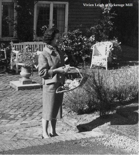 Vivien Leigh At Tm