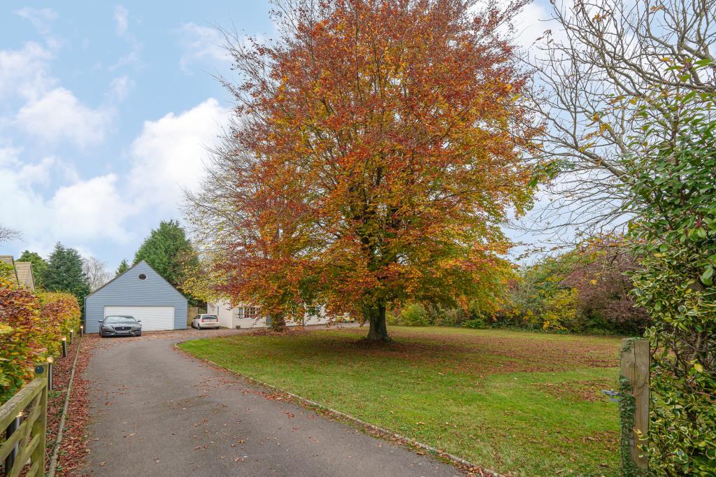 Driveway View