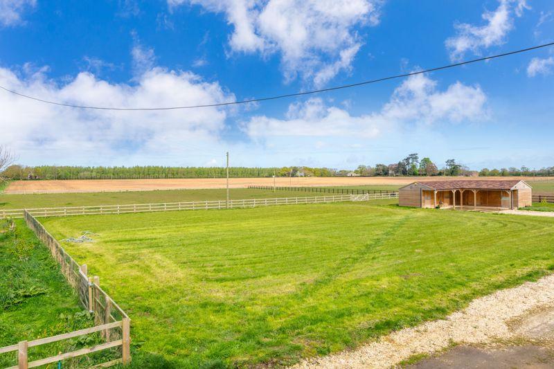Open Grassed Space
